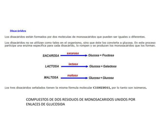 COMPUESTOS DE DOS RESIDUOS DE MONOSACARIDOS UNIDOS POR
ENLACES DE GLUCOSIDA
 