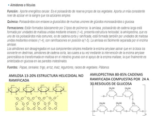 AMILOSA 13-20% ESTRUCTURA HELICOIDAL NO
RAMIFICADA
AMILOPECTINA 80-85% CADENAS
RAMIFICADA COMPUESTAS POR 24 A
30 RESIDUOS DE GLUCOSA
 