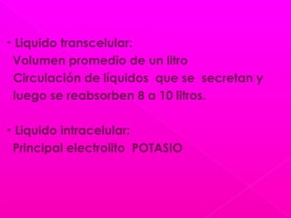 • Liquido transcelular:
Volumen promedio de un litro
Circulación de líquidos que se secretan y
luego se reabsorben 8 a 10 litros.
• Liquido intracelular:
Principal electrolito POTASIO
 