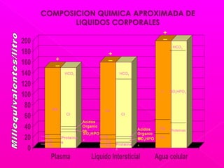 0
20
40
60
80
100
120
140
160
180
200
Plasma Liquido Intersticial Agua celular
Na
Cl
HCO3 HCO3
HCO3
SO4HPO4
Proteinas
Na
Cl
Mg
k
+
─
+
─
+
─
Proteina
s
Proteina
s
NaK
Ca
Mg
Acidos
Organic
os
SO4HPO
4
K
Ca
Mg
Acidos
Organic
osSO4HPO
4
 