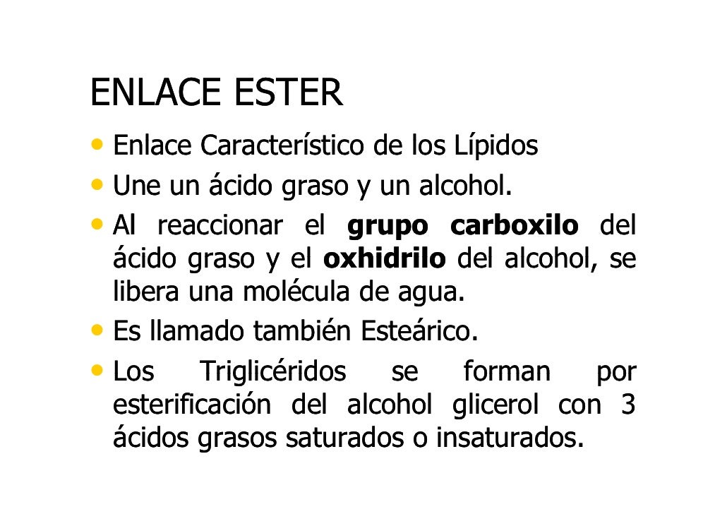 Lipidos Y Lipidos Simples [Modo De Compatibilidad]