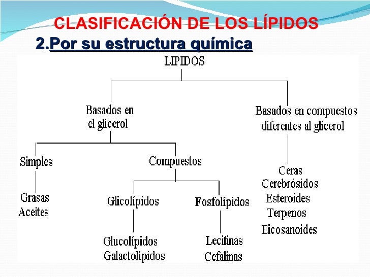 Lipidos y proteínas