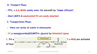 B. Transport Phase
- FFA, α & β-MAGs mainly enter the microvilli by “simple diffusion”.
- Short,MCFA & unsaturated FA are easily absorbed
C. Transportation Phase:
- there are series of events in enterocytes
- 1st,α-monoglycerides(6%)FFA+ glycerol by Intestinal Lipase.
1. FA absorbed from intestinal lumen & FA from hydrolysis of α-MAG,are activated
to“Acyl-CoA” by ATP-dependent thiokinase.
18/03/2024 10
Dr.Tesaka W, Jimma University, Ethioipia
 