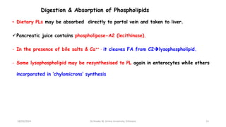 Digestion & Absorption of Phospholipids
• Dietary PLs may be absorbed directly to portal vein and taken to liver.
Pancreatic juice contains phospholipase-A2 (lecithinase).
- In the presence of bile salts & Ca++ , it cleaves FA from C2lysophospholipid.
- Some lysophospholipid may be resynthesised to PL again in enterocytes while others
incorporated in ‘chylomicrons’ synthesis
18/03/2024 15
Dr.Tesaka W, Jimma University, Ethioipia
 
