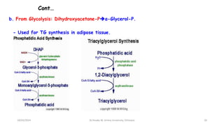 Cont…
b. From Glycolysis: Dihydroxyacetone-Pα-Glycerol-P.
- Used for TG synthesis in adipose tissue.
18/03/2024 20
Dr.Tesaka W, Jimma University, Ethioipia
 