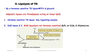 II. Lipolysis of TG
- By a hormone-sensitive TG lipaseFFA & glycerol.
Adipolytic lipases are three(lipases acting on tissue lipid):
1. Hormone sensitive TG lipase: Key regulating enzyme.
2. DAG lipase & 3. MAG lipase(are not Hormone sensitive) &LPL on VLDL & Chylomicron.
18/03/2024 21
Dr.Tesaka W, Jimma University, Ethioipia
 