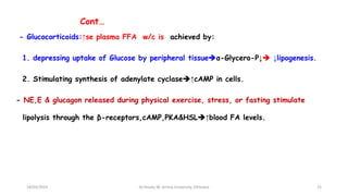 Cont…
- Glucocorticoids:↑se plasma FFA w/c is achieved by:
1. depressing uptake of Glucose by peripheral tissueα-Glycero-P↓ ↓lipogenesis.
2. Stimulating synthesis of adenylate cyclase↑cAMP in cells.
- NE,E & glucagon released during physical exercise, stress, or fasting stimulate
lipolysis through the β-receptors,cAMP,PKA&HSL↑blood FA levels.
18/03/2024 25
Dr.Tesaka W, Jimma University, Ethioipia
 