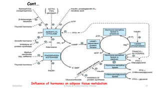 Cont…
18/03/2024 27
Influence of hormones on adipose tissue metabolism
Dr.Tesaka W, Jimma University, Ethioipia
 