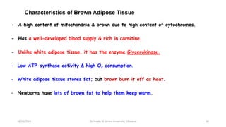 Characteristics of Brown Adipose Tissue
- A high content of mitochondria & brown due to high content of cytochromes.
- Has a well-developed blood supply & rich in carnitine.
- Unlike white adipose tissue, it has the enzyme Glycerokinase.
- Low ATP-synthase activity & high O2 consumption.
- White adipose tissue stores fat; but brown burn it off as heat.
- Newborns have lots of brown fat to help them keep warm.
18/03/2024 30
Dr.Tesaka W, Jimma University, Ethioipia
 