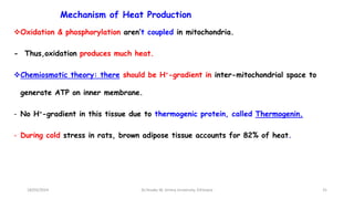 Mechanism of Heat Production
Oxidation & phosphorylation aren’t coupled in mitochondria.
- Thus,oxidation produces much heat.
Chemiosmotic theory: there should be H+-gradient in inter-mitochondrial space to
generate ATP on inner membrane.
- No H+-gradient in this tissue due to thermogenic protein, called Thermogenin.
- During cold stress in rats, brown adipose tissue accounts for 82% of heat.
18/03/2024 31
Dr.Tesaka W, Jimma University, Ethioipia
 