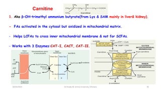 Carnitine
1. Aka β–OH–trimethyl ammonium butyrate(from Lys & SAM mainly in liver& kidney).
- FAs activated in the cytosol but oxidized in mitochondrial matrix.
- Helps LCFAs to cross inner mitochondrial membrane & not for SCFAs.
- Works with 3 Enzymes:CAT-I, CACT, CAT-II.
18/03/2024 36
Dr.Tesaka W, Jimma University, Ethioipia
 