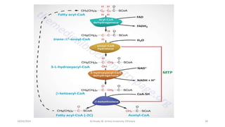 18/03/2024 38
Dr.Tesaka W, Jimma University, Ethioipia
 