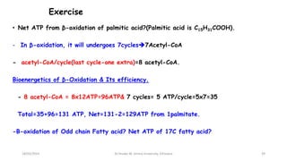 Exercise
• Net ATP from β-oxidation of palmitic acid?(Palmitic acid is C15H31COOH).
- In β-oxidation, it will undergoes 7cycles7Acetyl-CoA
- acetyl-CoA/cycle(last cycle-one extra)=8 acetyl-CoA.
Bioenergetics of β-Oxidation & Its efficiency.
- 8 acetyl-CoA = 8x12ATP=96ATP& 7 cycles= 5 ATP/cycle=5x7=35
Total=35+96=131 ATP, Net=131-2=129ATP from 1palmitate.
-B-oxidation of Odd chain Fatty acid? Net ATP of 17C fatty acid?
18/03/2024 39
Dr.Tesaka W, Jimma University, Ethioipia
 