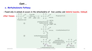 Cont….
18/03/2024
a. Methylmalonate Pathway
- Found only in animals & occurs in the mitochondria of liver,cardiac and skeletal muscles, kidney&
other tissues.
40
Dr.Tesaka W, Jimma University, Ethioipia
 