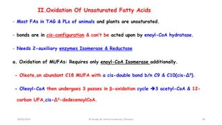 II.Oxidation Of Unsaturated Fatty Acids
- Most FAs in TAG & PLs of animals and plants are unsaturated.
- bonds are in cis-configuration & can’t be acted upon by enoyl-CoA hydratase.
- Needs 2-auxiliary enzymes Isomerase & Reductase
a. Oxidation of MUFAs: Requires only enoyl-CoA Isomerase additionally.
- Oleate,an abundant C18 MUFA with a cis-double bond b/n C9 & C10(cis-∆9).
- Oleoyl-CoA then undergoes 3 passes in β-oxidation cycle 3 acetyl-CoA & 12-
carbon UFA,cis-∆3-dodecenoylCoA.
18/03/2024 46
Dr.Tesaka W, Jimma University, Ethioipia
 