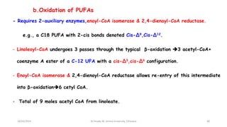 b.Oxidation of PUFAs
- Requires 2-auxiliary enzymes,enoyl-CoA isomerase & 2,4-dienoyl-CoA reductase.
e.g., a C18 PUFA with 2-cis bonds denoted Cis-∆9,Cis-∆12.
- Linoleoyl-CoA undergoes 3 passes through the typical β-oxidation 3 acetyl-CoA+
coenzyme A ester of a C-12 UFA with a cis-∆3,cis-∆6 configuration.
- Enoyl-CoA isomerase & 2,4-dienoyl-CoA reductase allows re-entry of this intermediate
into β-oxidation6 cetyl CoA.
- Total of 9 moles acetyl CoA from linoleate.
18/03/2024 48
Dr.Tesaka W, Jimma University, Ethioipia
 
