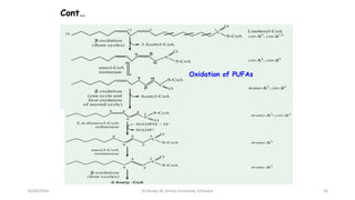 Cont…
18/03/2024
Oxidation of PUFAs
50
Dr.Tesaka W, Jimma University, Ethioipia
 
