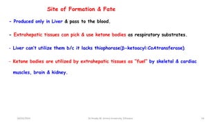 Site of Formation & Fate
- Produced only in Liver & pass to the blood.
- Extrahepatic tissues can pick & use ketone bodies as respiratory substrates.
- Liver can’t utilize them b/c it lacks thiophorase(β-ketoacyl:CoAtransferase).
- Ketone bodies are utilized by extrahepatic tissues as “fuel” by skeletal & cardiac
muscles, brain & kidney.
18/03/2024 54
Dr.Tesaka W, Jimma University, Ethioipia
 