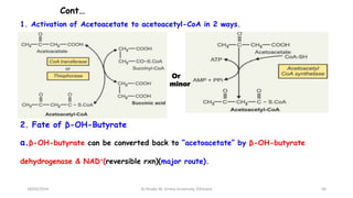 Cont…
1. Activation of Acetoacetate to acetoacetyl-CoA in 2 ways.
18/03/2024 56
Dr.Tesaka W, Jimma University, Ethioipia
Or
minor
2. Fate of β-OH-Butyrate
a.β-OH-butyrate can be converted back to “acetoacetate” by β-OH-butyrate
dehydrogenase & NAD+(reversible rxn)(major route).
 