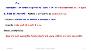 Cont…
- Acetoacetyl-CoA formed is splitted to “acetyl-CoA” by thiolase&oxidised in TCA cycle.
3. Fate of Acetone:-Acetone is difficult to be oxidised in vivo.
- Excess of acetone can be exhaled & excreted in urine.
- Imparts fruity smell of breath & urine.
Ketosis Susceptibility
- Dogs are least susceptible,female,infants and young children are more susceptible.
18/03/2024 57
Dr.Tesaka W, Jimma University, Ethioipia
 