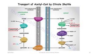 62
Transport of Acetyl-CoA by Citrate Shuttle
18/03/2024 Dr.Tesaka W, Jimma University, Ethioipia
 