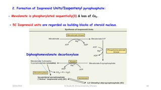 2. Formation of Isoprenoid Units/Isopentenyl pyrophosphate:
- Mevalonate is phosphorylated sequentially(3) & loss of Co2.
- 5C Isoprenoid units are regarded as building blocks of steroid nucleus.
64
Diphosphomevalonate decarboxylase
18/03/2024 Dr.Tesaka W, Jimma University, Ethioipia
 