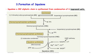 3.Formation of Squalene
- Squalene a 30C aliphatic chain is synthesised from condensation of 6 isoprenoid units.
- Squalene synthetase is microsomal liver enzyme.
65
18/03/2024 Dr.Tesaka W, Jimma University, Ethioipia
 