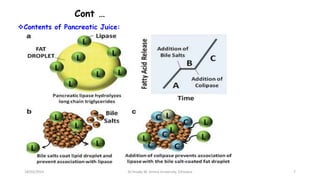 Cont …
Contents of Pancreatic Juice:
a. Steapsin w/c act on most fats(optimum pH=6).
b. Phospholipase-2(lecithinase):-On Phospholipids
c.Cholesterol esterase:-On cholesterol esters.
18/03/2024 7
Dr.Tesaka W, Jimma University, Ethioipia
 