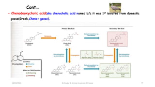 Cont…
- Chenodeoxycholic acid(aka chenocholic acid named b/c it was 1st isolated from domestic
goose(Greek,Cheno= goose).
77
18/03/2024 Dr.Tesaka W, Jimma University, Ethioipia
 