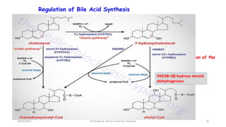 Regulation of Bile Acid Synthesis
- Each day the amount of bile acid lost in feces= synthesised in liver
7-α-hydroxylase regulation
1.nuclear bile acid binding receptor Farnesoid-X receptor (FXR).
- When bile acid pool↑ses in enterohepatic circulation,FXR is activated & the transcription of the
7-α-hydroxylase gene is suppressed.
2. Enhanced by endogenous & dietary cholesterol(cholesterol feeding).
3. Bile acids,exert"feedback”inhibition on 7-α-hydroxylase.
78
18/03/2024 Dr.Tesaka W, Jimma University, Ethioipia
HSD3B=3β-hydroxy steroid
dehydrogenase
 
