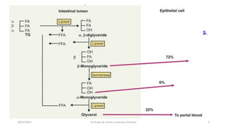 Cont…
Mode of action of pancreatic lipase:
- Hydrolyze “primary ester linkage”/act first at C3a,B-DAG then at C1 β-MAG.
- It can’t readily hydrolyze the ester linkage of position-2(β).
- Then β-MAG a-MAG by isomerization where pancreatic lipase can act now.
NB: In rat sterol-ester hydrolase cleaves FA from β -position.
18/03/2024 9
Dr.Tesaka W, Jimma University, Ethioipia
 