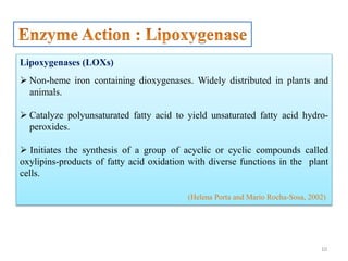 10
Lipoxygenases (LOXs)
 Non-heme iron containing dioxygenases. Widely distributed in plants and
animals.
 Catalyze polyunsaturated fatty acid to yield unsaturated fatty acid hydro-
peroxides.
 Initiates the synthesis of a group of acyclic or cyclic compounds called
oxylipins-products of fatty acid oxidation with diverse functions in the plant
cells.
(Helena Porta and Mario Rocha-Sosa, 2002)
 