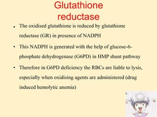 Glutathione
reductase
• The oxidised glutathione is reduced by glutathione
reductase (GR) in presence of NADPH
• This NADPH is generated with the help of glucose-6-
phosphate dehydrogenase (G6PD) in HMP shunt pathway
• Therefore in G6PD deficiency the RBCs are liable to lysis,
especially when oxidising agents are administered (drug
induced hemolytic anemia)
 
