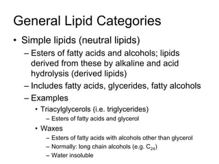 Lapid Examples Lipid powerpoint | PPTX