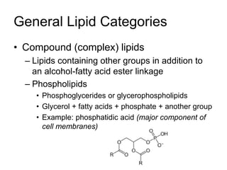Lipid powerpoint | PPTX