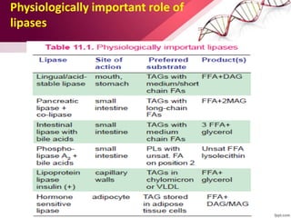 Physiologically important role of
lipases
 