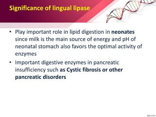 Significance of lingual lipase
• Play important role in lipid digestion in neonates
since milk is the main source of energy and pH of
neonatal stomach also favors the optimal activity of
enzymes
• Important digestive enzymes in pancreatic
insufficiency such as Cystic fibrosis or other
pancreatic disorders
 