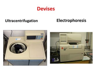 Devises 
Ultracentrifugation Electrophoresis 
 