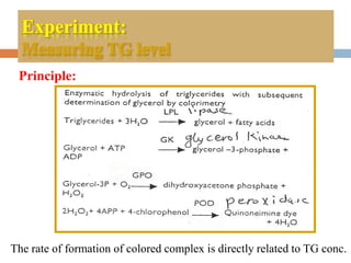 Experiment:
Measuring TG level
Principle:
The rate of formation of colored complex is directly related to TG conc.
 
