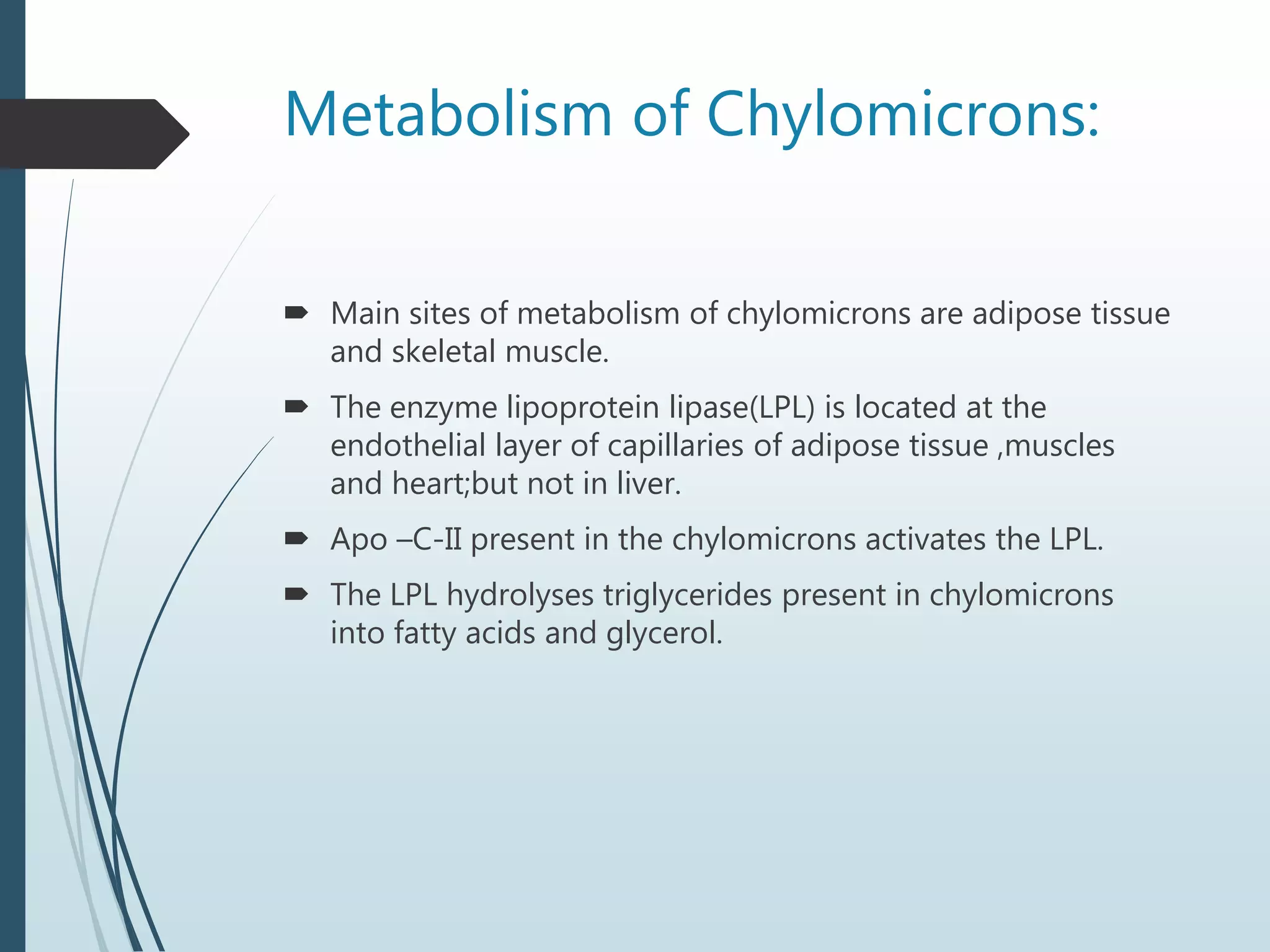 Metabolism of Chylomicrons:
 Main sites of metabolism of chylomicrons are adipose tissue
and skeletal muscle.
 The enzyme lipoprotein lipase(LPL) is located at the
endothelial layer of capillaries of adipose tissue ,muscles
and heart;but not in liver.
 Apo –C-II present in the chylomicrons activates the LPL.
 The LPL hydrolyses triglycerides present in chylomicrons
into fatty acids and glycerol.
 