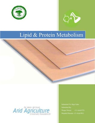 Lipid & Protein Metabolism




                 Submitted To: Raja Tahir
                 Submitted By:
                 Waqas Nawaz       (11-Arid-975)
                 Mujahid Hussain (11-Arid-981)
 