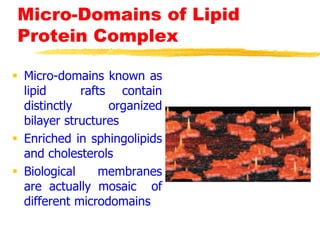Micro-Domains of Lipid
Protein Complex
 Micro-domains known as
lipid rafts contain
distinctly organized
bilayer structures
 Enriched in sphingolipids
and cholesterols
 Biological membranes
are actually mosaic of
different microdomains
 