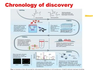 Chronology of discovery
 