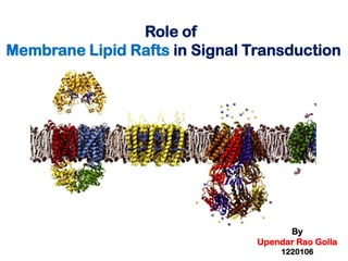 Role of
Membrane Lipid Rafts in Signal Transduction

By
Upendar Rao Golla
1220106

 