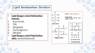Lipid berdasarkan Struktur
• Lipid dengan rantai hidrokarbon
terbuka.
1. Asam lemak,
2. TAG,
3. Spingolipid,
4. Fosfoasilgliserol,
5. Glikolipid
• Lipid dengan rantai hidorkarbon
siklis: steroid (kolesterol)
 