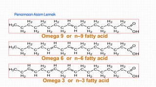 Penamaan Asam Lemak
H3C
C
H2
C
H2
C
H2
C
H2
C
H2
C
H2
C
H2
C
H
C
H
C
H2
C
H2
C
H2
C
H2
C
H2
C
H2
C
H2
C
O
OH
H3C
C
H2
C
H2
C
H2
C
H2
C
H
C
H
C
H2
C
H
C
H
C
H2
C
H2
C
H2
C
H2
C
H2
C
H2
C
H2
C
O
OH
H3C
C
H2
C
H
C
H
C
H2
C
H
C
H
C
H2
C
H
C
H
C
H2
C
H2
C
H2
C
H2
C
H2
C
H2
C
H2
C
O
OH
Omega 9 or n–9 fatty acid
Omega 6 or n–6 fatty acid
Omega 3 or n–3 fatty acid
 