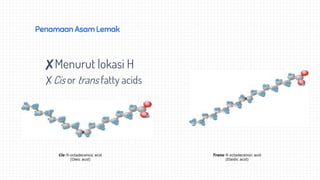 Penamaan Asam Lemak
✘Menurut lokasi H
✗Cis or trans fatty acids
Cis-9-octadecenoic acid
(Oleic acid)
Trans-9-octadecenoic acid
(Elaidic acid)
 