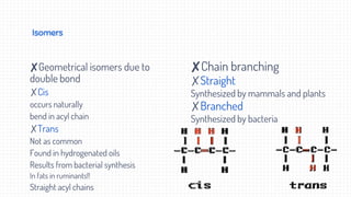 Isomers
✘Geometrical isomers due to
double bond
✗Cis
occurs naturally
bend in acyl chain
✗Trans
Not as common
Found in hydrogenated oils
Results from bacterial synthesis
In fats in ruminants!!
Straight acyl chains
✘Chain branching
✗Straight
Synthesized by mammals and plants
✗Branched
Synthesized by bacteria
 