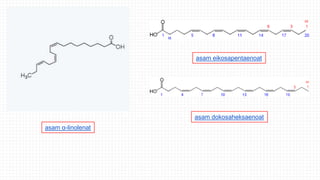 asam α-linolenat
asam eikosapentaenoat
asam dokosaheksaenoat
 