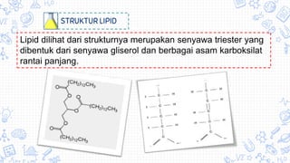 STRUKTUR LIPID
Lipid dilihat dari strukturnya merupakan senyawa triester yang
dibentuk dari senyawa gliserol dan berbagai asam karboksilat
rantai panjang.
 